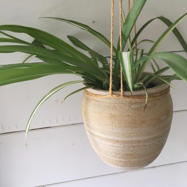 6 Week Wednesday Evening Pottery with Kate Wade - November