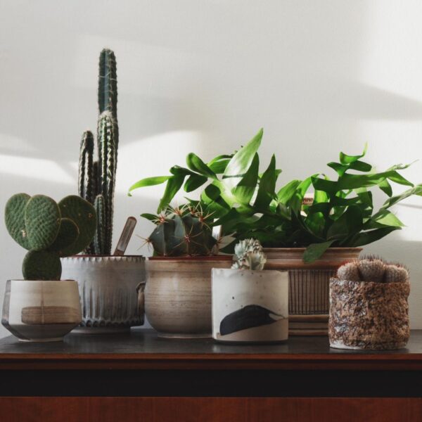 6 Week Saturday Morning Pottery with James Smith - November